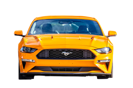 Mustang